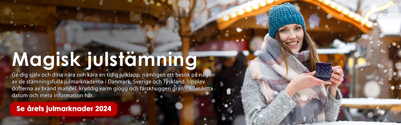 Julmarknad 2024