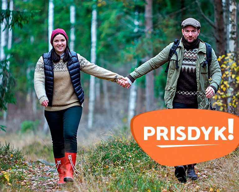 Prisdyk i nybro smaaland