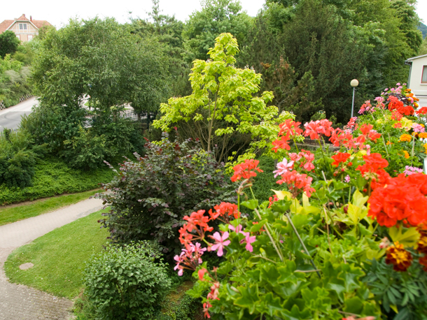 Hotel du Parc Spa
