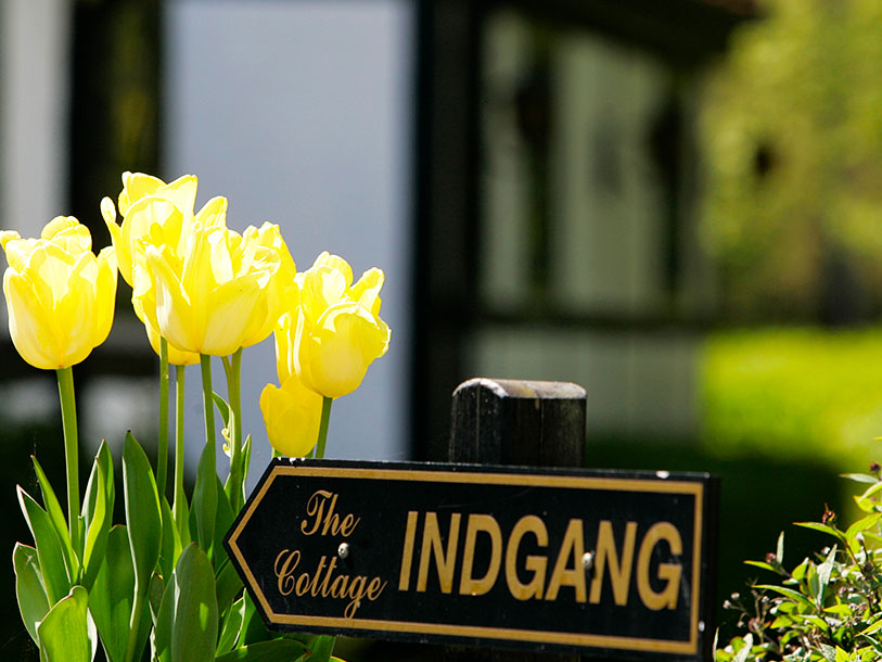 The Cottage