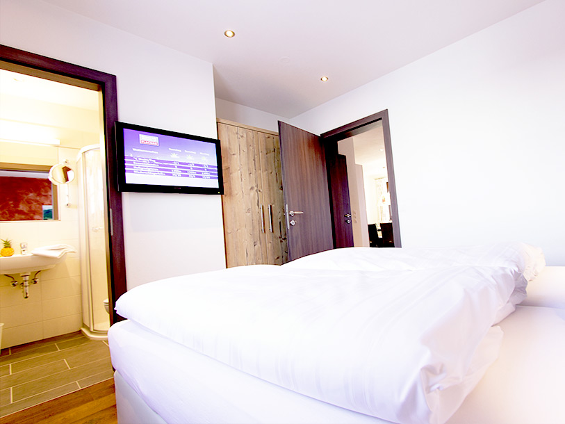 Alpenchalets Flachauer Gutshof