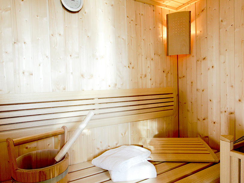 Alpenchalets Flachauer Gutshof