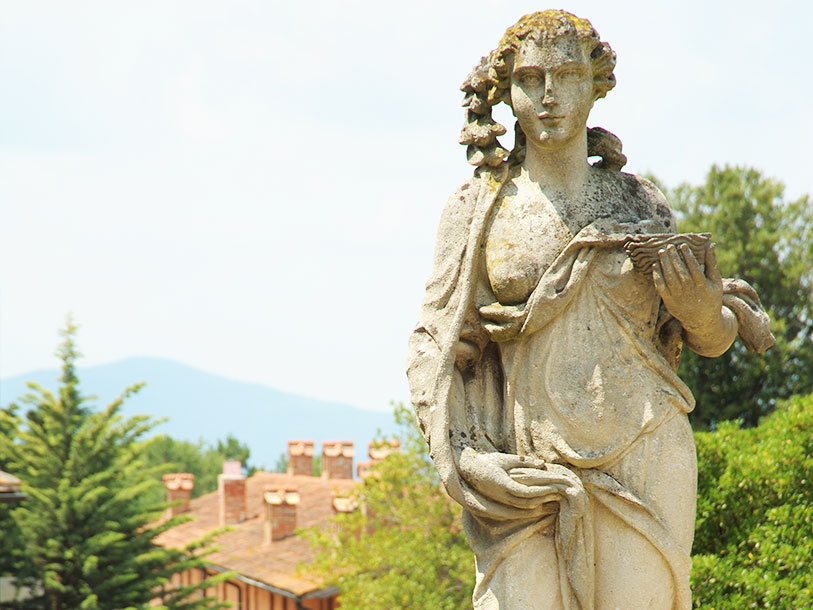 Fattoria degli Usignoli