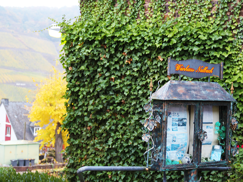 WeinBergHotel Nalbach