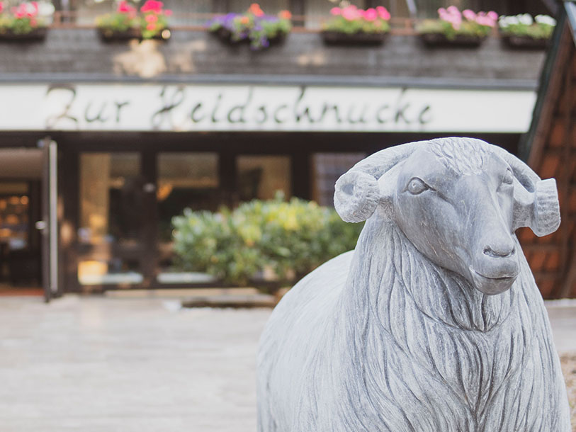 Hotel Zur Heidschnucke