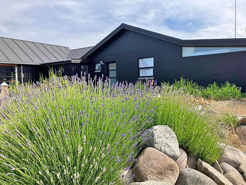 GuestHouse Læsø