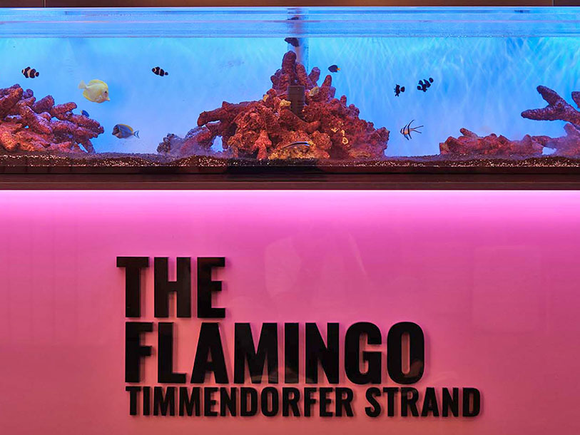 The Flamingo Timmendorfer Strand