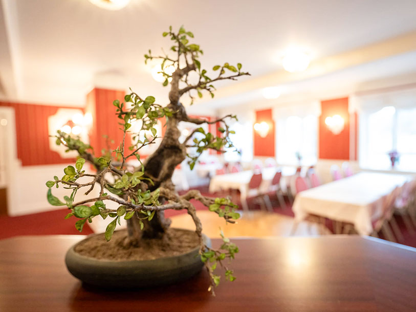 Frederiksværk Hotel