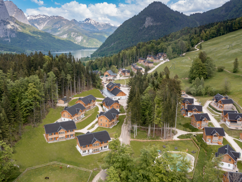 Narzissendorf Zloam
