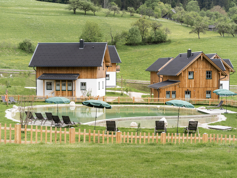 Narzissendorf Zloam