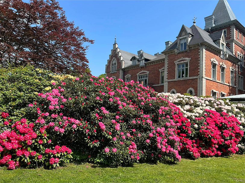 Thorskogs Slott