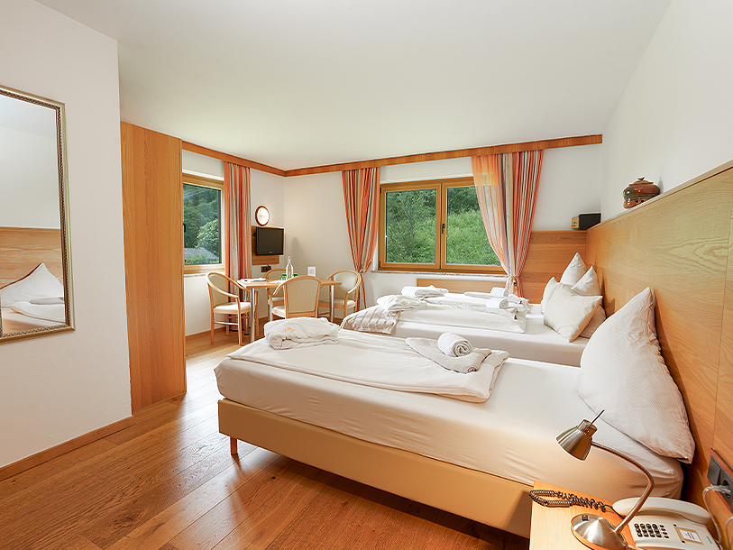 Hotel Künstleralm