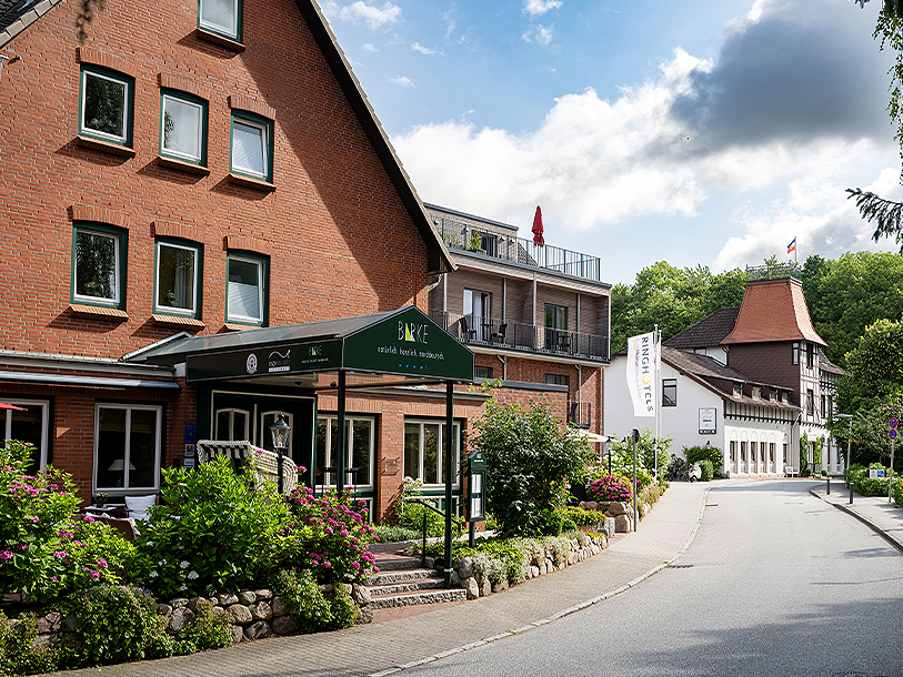 Hotel Birke