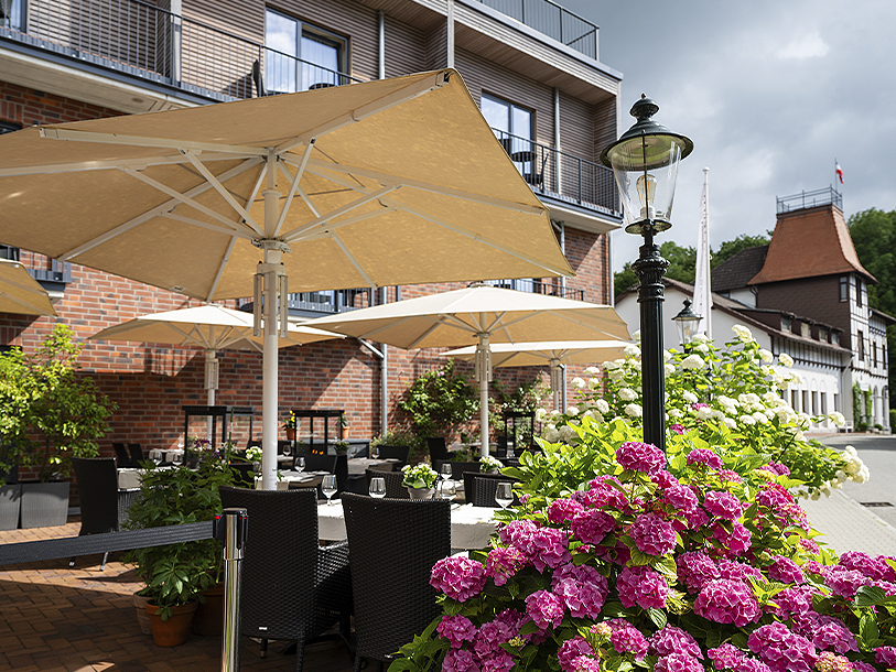 Hotel Birke