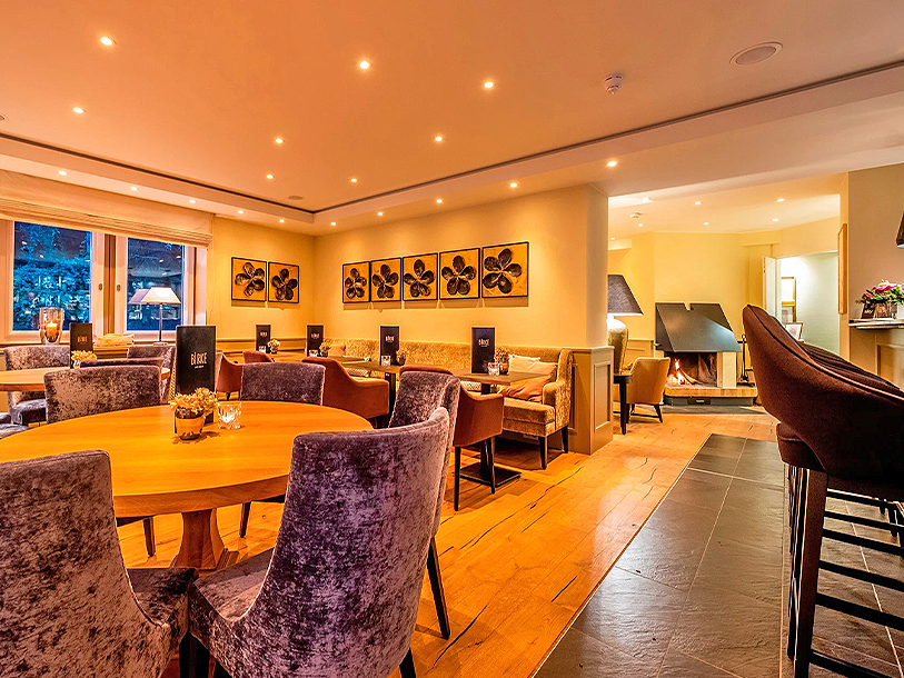 Hotel Birke