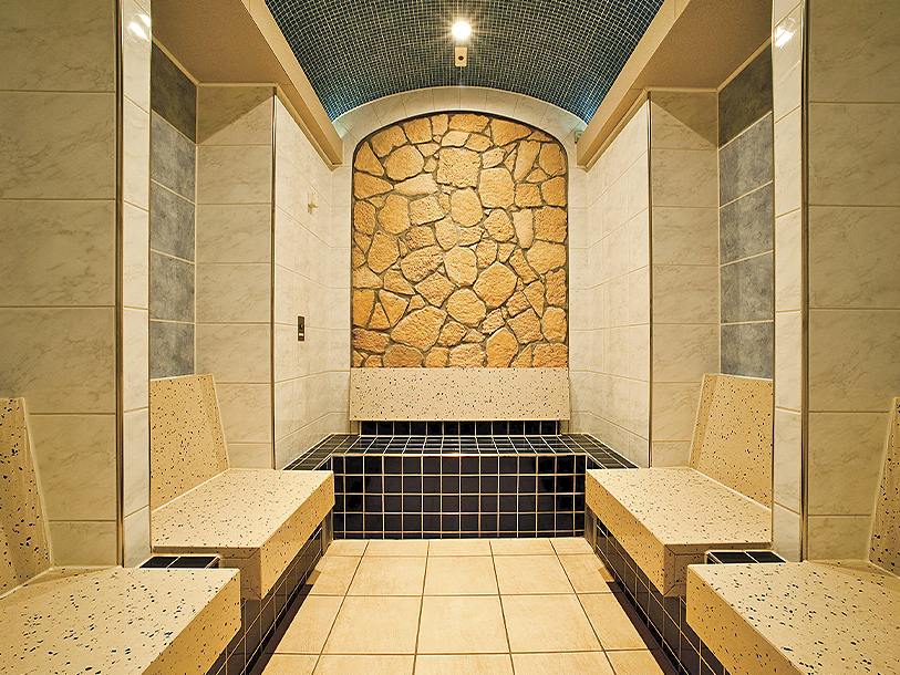 Hotel Birke