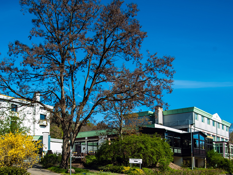 Parkhotel Hitzacker