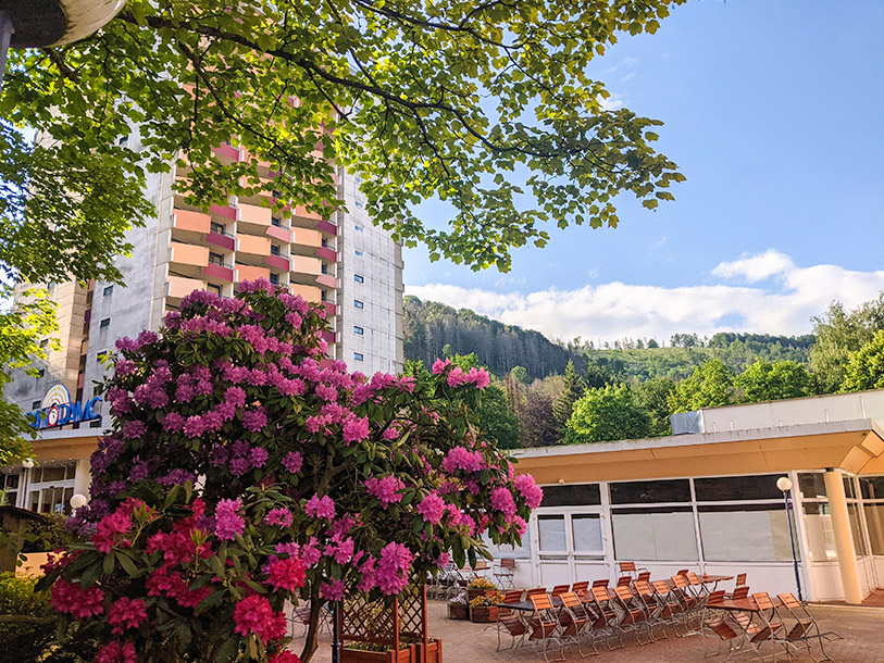 Hotel Panoramic