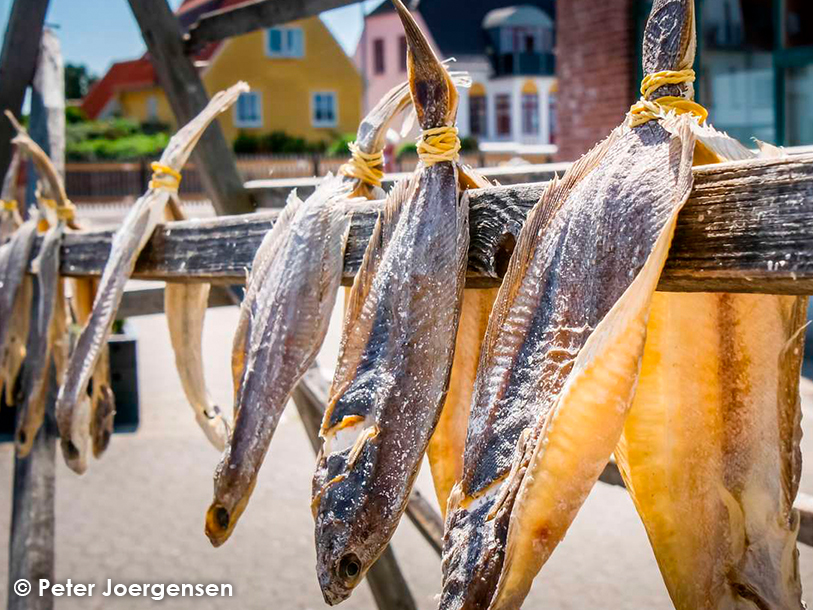 Besök Kustmuseet i Skagen - ett mycket spännande och historiskt, maritimt museum för både stora som små
