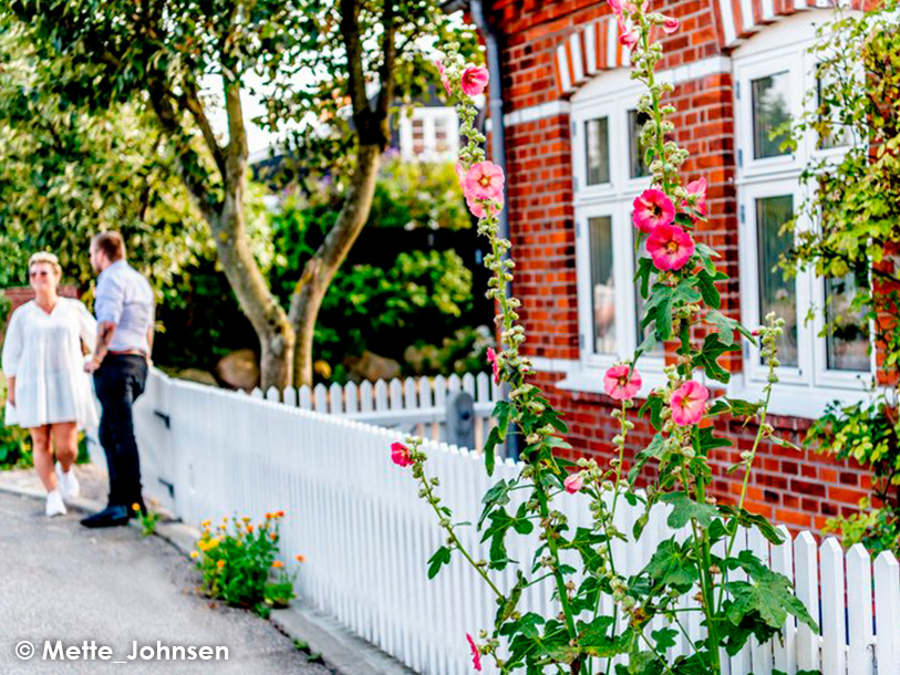 Under sommaren blommar stockrosor, hortensia och rosor i Skagens idylliska trädgårdar i centrum