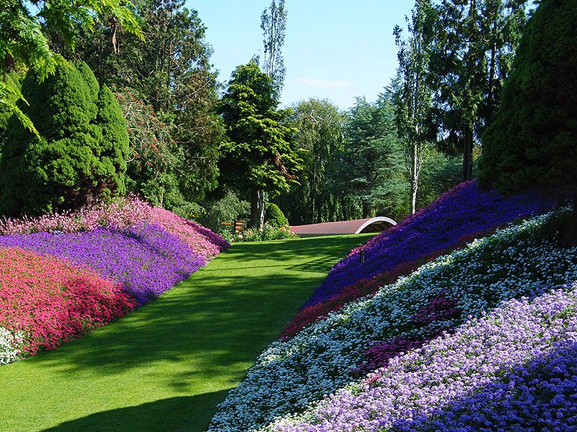Du bor väldigt nära Jesperhus Blomsterpark, som ligger på Mors - bara en promenad över bron