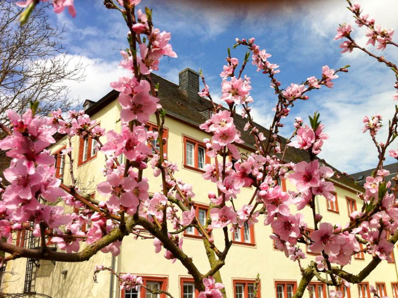 Schloss-Hotel Petry er jeres romantiske base på denne slotsferie ved Mosel