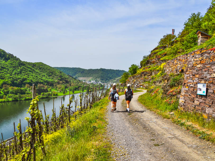 Vandrestierne er mangfoldige og kan tage jer gennem vinmarker, skovområder og eventyrlige dale omkring Mosel