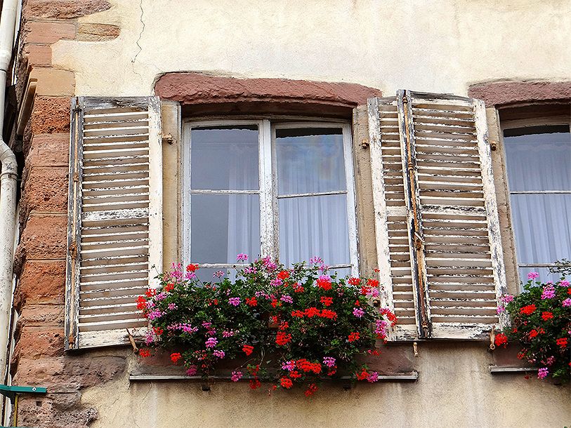 Alsace är målerisk med färgsprakande blomsterlådor på husfasaderna
