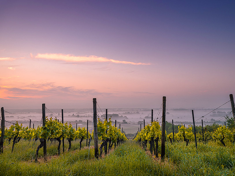 Tag på opdagelse i det berømte vinområde Valpolicella - en vinsmagning er inkluderet i opholdet