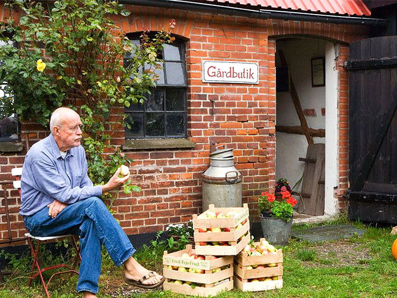 På Fejø har man f.eks. hvert år en æblefestival, og det lille ø-samfund lever og ånder for den gode råvare