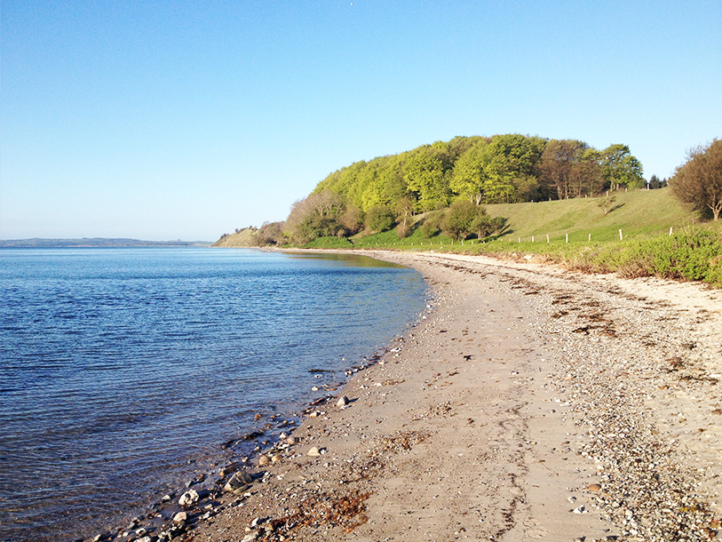 Under vår och höst kan du ta en strandpromenad vid Fuglsø Strand och få härligt röda kinder