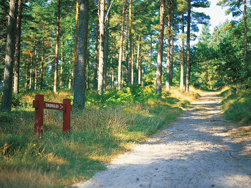 Följ skogsstigen till Tinghulen, en historisk plats där tinget från 3 socknar samlades under medeltiden