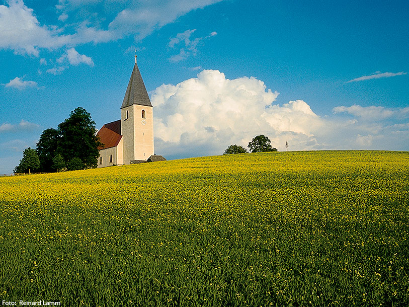 Kirken Mariahof i Steiermark