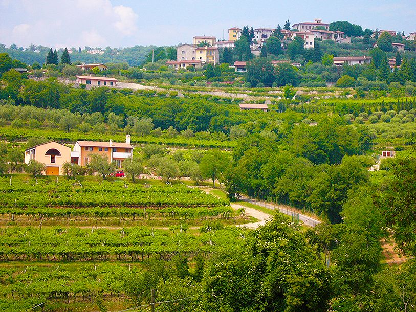 Tag på opdagelse i det berømte vinområde Valpolicella - en vinsmagning er inkluderet i opholdet