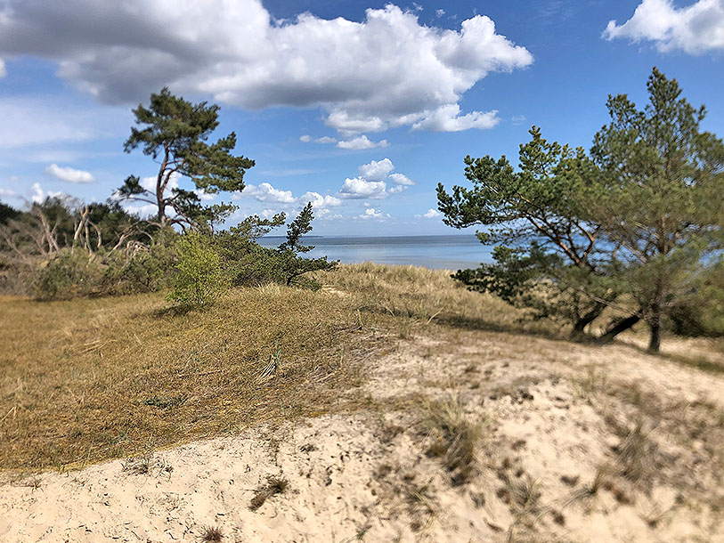 En spadseretur på et kvarter fra Kastanjelund - så står I ved vandkanten her