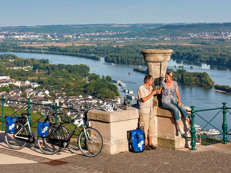 Panorama över Rüdesheim från en av de lokala kullarna
