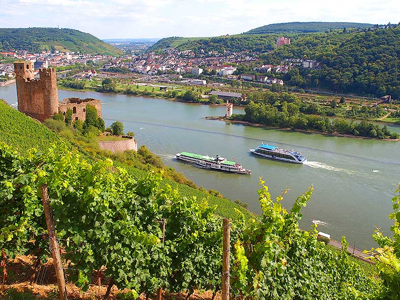 I Rüdesheim ligger borgen Ehrenfels, som tornar upp sig över Rhen