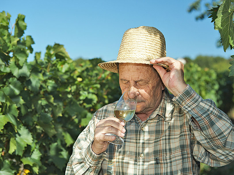 Fra Blaesheim har I et helt oplagt udgangspunkt for ture til vinbyerne på La Route des Vins