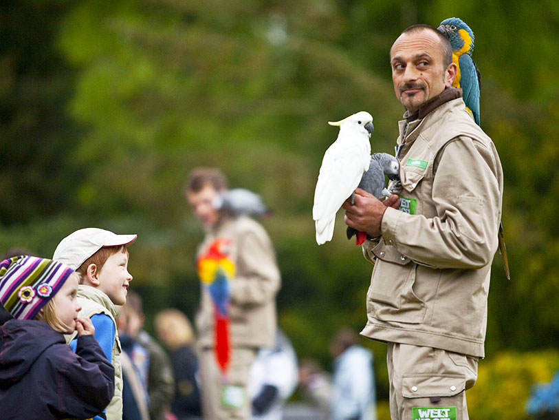 Weltvogelpark Walsrode er en stor attraktion for fugleinteresserede