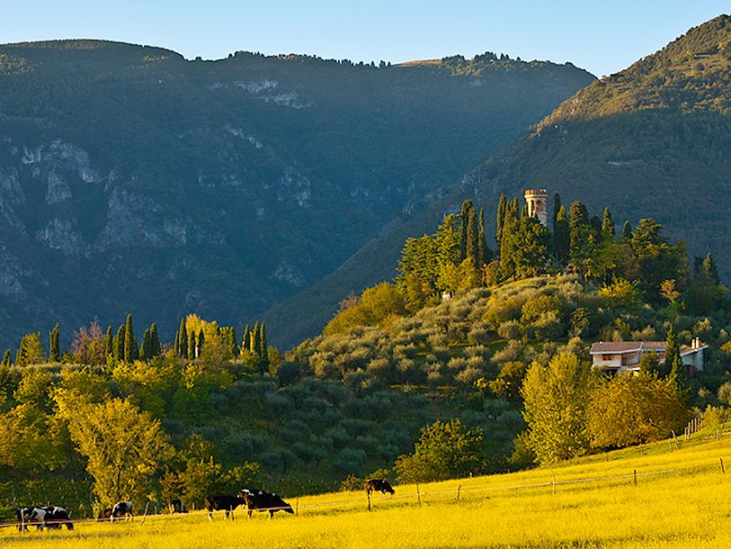 Naturen runt Bassano del Grappa är mycket pittoresk
