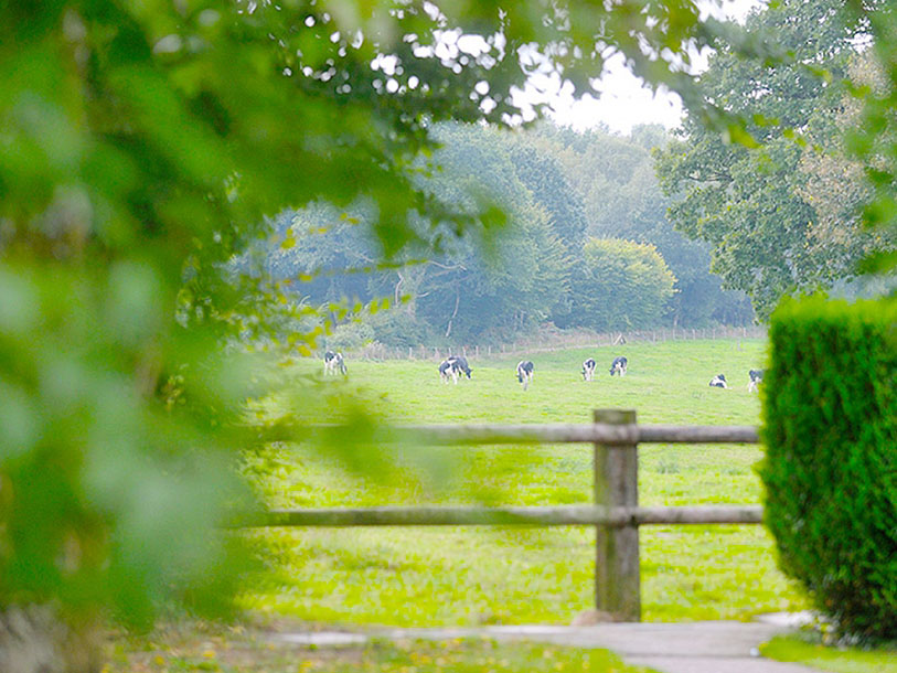 Le Manoir du Lys' park grænser op til markens skel og 7.000 hektar skov