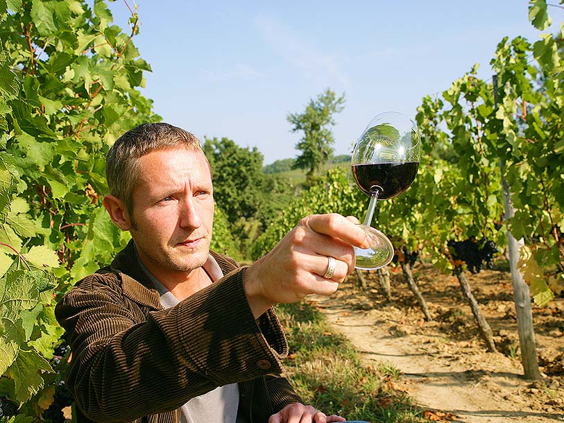Vingårdskulturen er stærk i Alsace - en helt særlig ferieoplevelse!