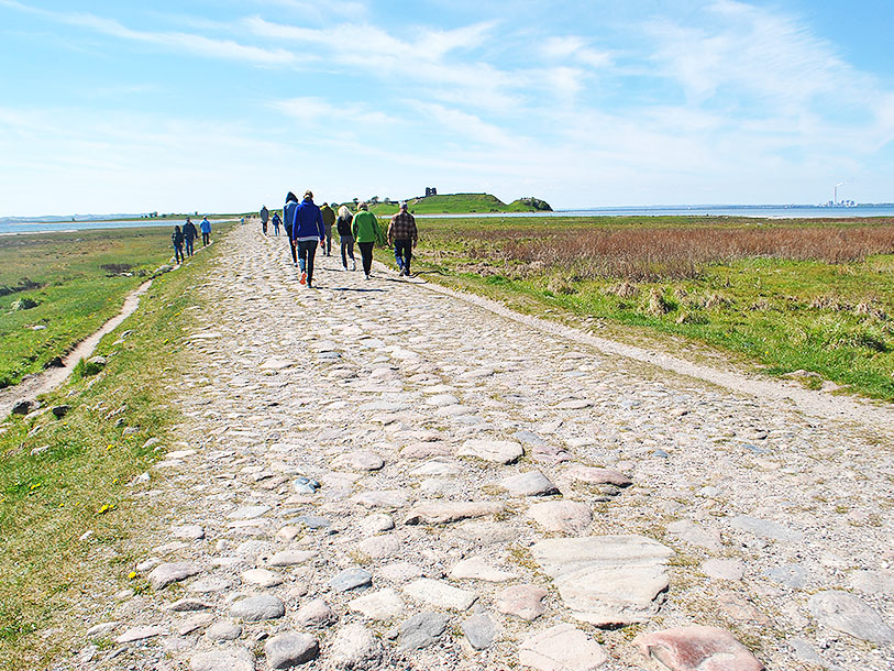 Den historiska stenbeläggningen leder via dämningarna ut till resterna av Kalø slott som har anor från 1313