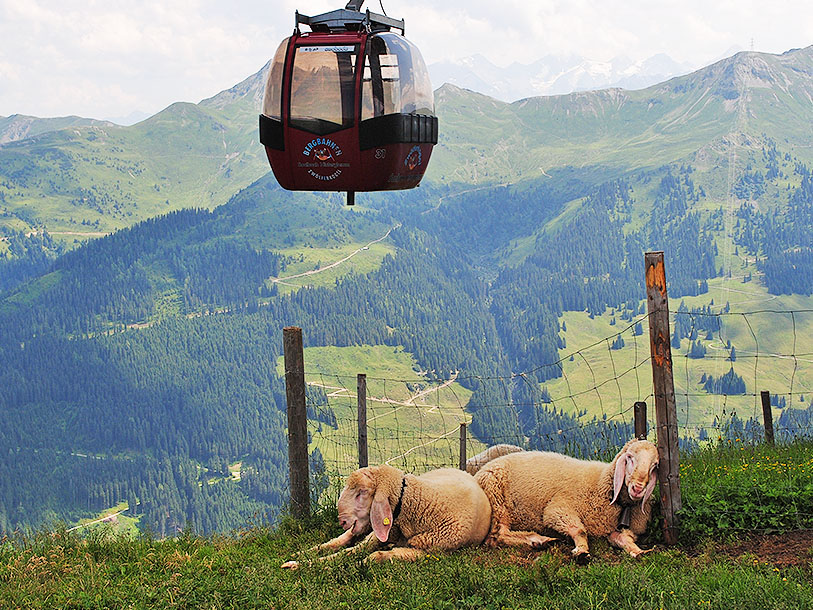 Insup den lantliga atmosfären i Österrikes vackra alplandskap vid Zell am See-kaprun