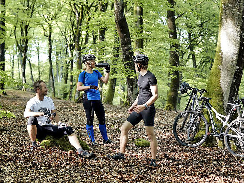 I Rold Skov er mountainbikere også meget velkomne til at udnytter de særlige ruter