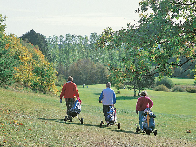 Rold Skov Golfklubs baner er i sagens natur en helt unik oplevelse
