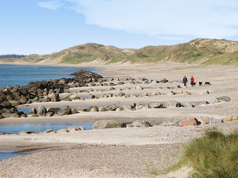 Skagen er omgivet af hav, strand og brusende bølger, der indbyder til friske traveture