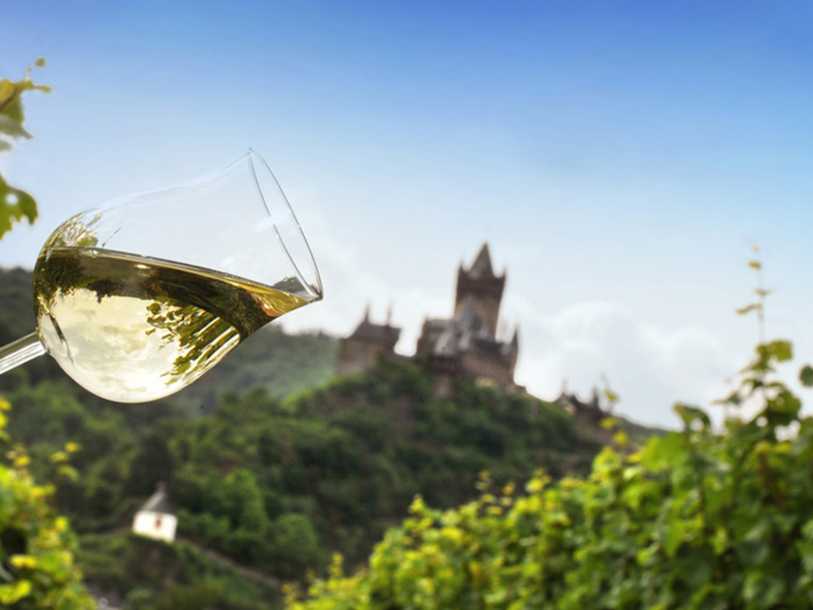 Se fram emot en stämningsfull vinsemester på WeinBergHotel Nalbach