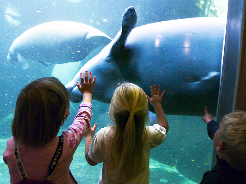 Det store "Oceanium" med Sydamerikas dyreliv som tema er Odense Zoos stolthed