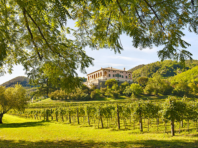 Längs Strada del Vino Colli Euganei kommer du förbi venetianska villor och frodiga vinodlingar